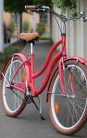Egyedi-Cruiser-Noi-Kerekpar-1sp-/-3-sp-Eper-Barna
