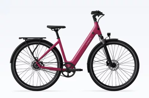 TENWAYS CGO800S - Női elektromos kerékpár - Matt padlizsán - Innovatív | Ajánlott modell