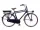 Neuzer Amigo E-PULSE GENT 28" N3 kerékpár | 50 cm frame, Matt black