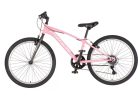 KPC-Fluobike-Bloom-24-lany-gyerek-kerekpar-fluore