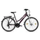 Csepel-Traction-100-Noi-21sp-padlizsan-17
