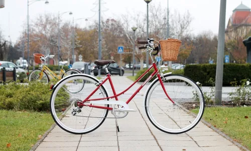 Egyedi-Mademoiselle-Noi-Kerekpar-7sp-Bordo