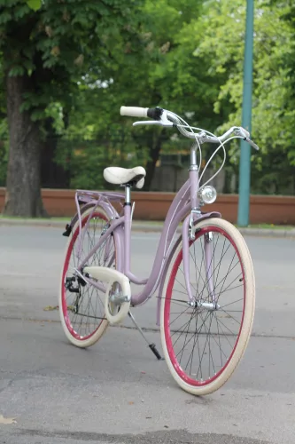 Egyedi-Mademoiselle-Noi-Kerekpar-7sp-lila