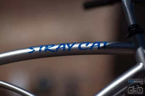Egyedi Stray Cat Cruiser kerékpár