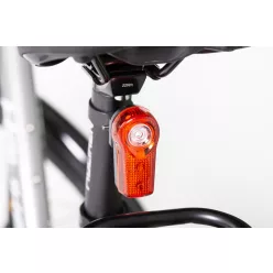 Cardamo-Castor-lampaszett