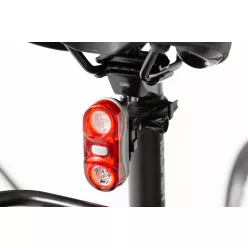 Cardamo-Zeta-lampaszett